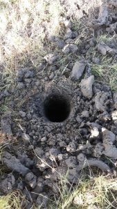 WhatsApp Image 2025-11-28 at 15.16.34 (3)